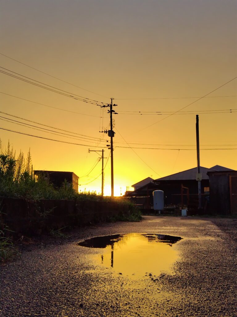 10月FVphoto