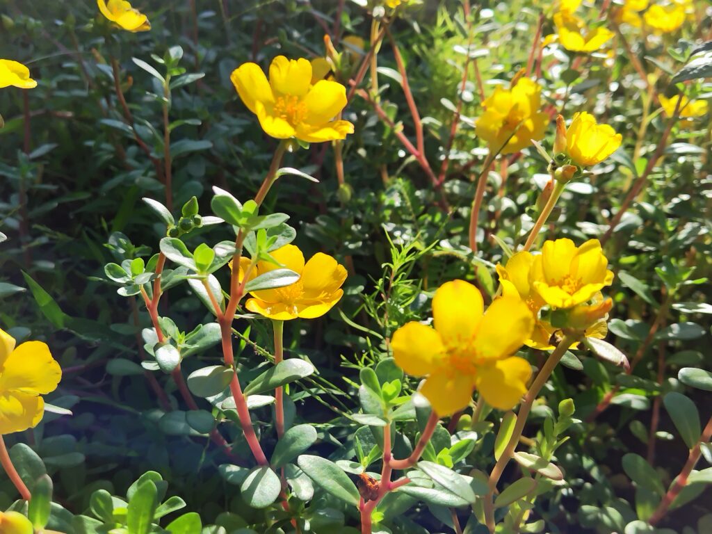 10月FVphoto