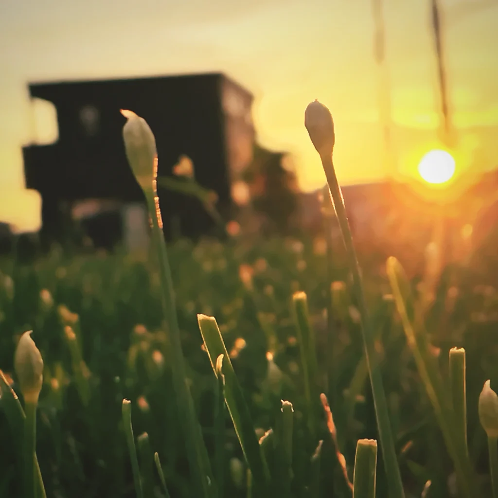 10月FVphoto