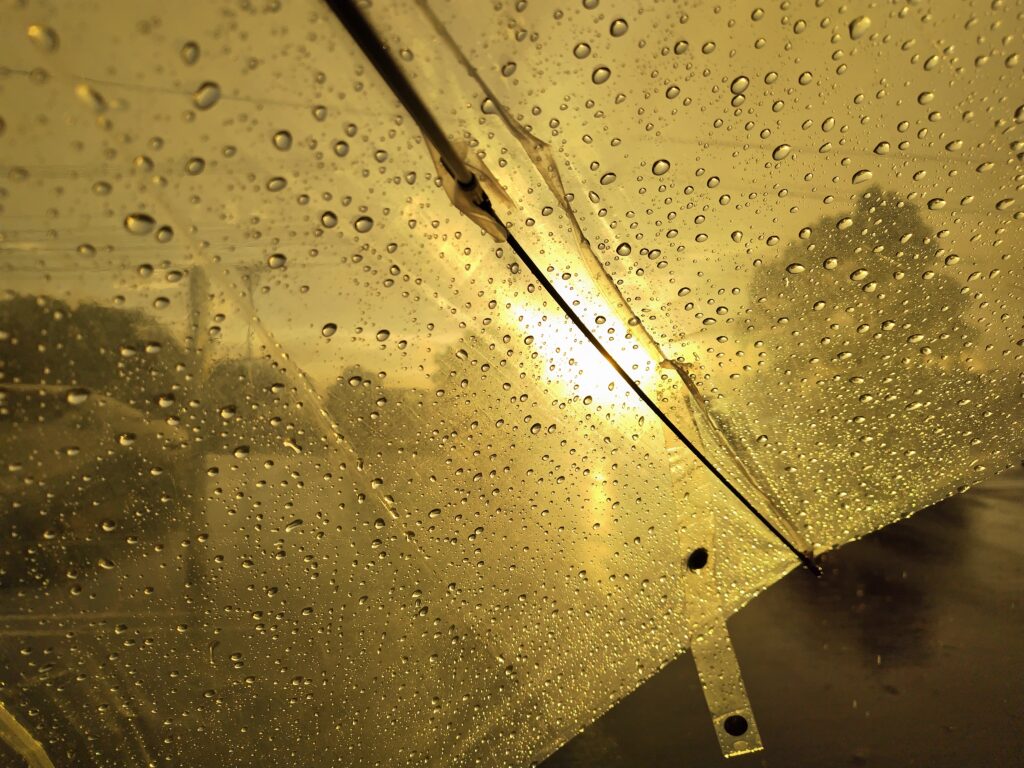 10月FVphoto