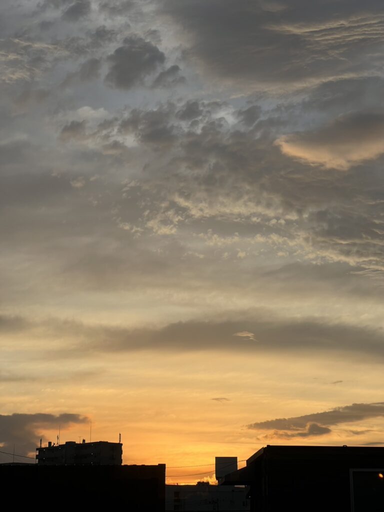 10月FVphoto