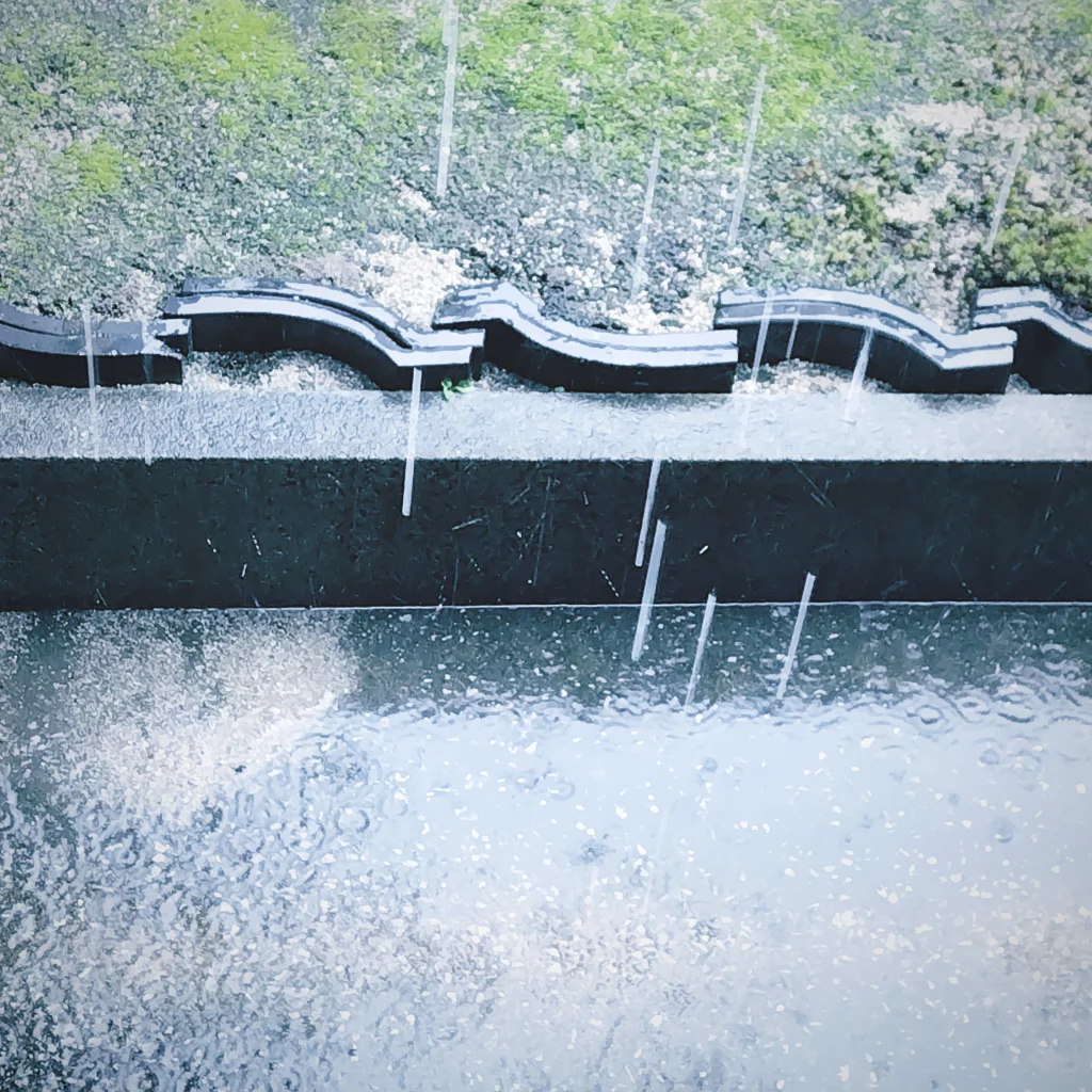 10月FVphoto