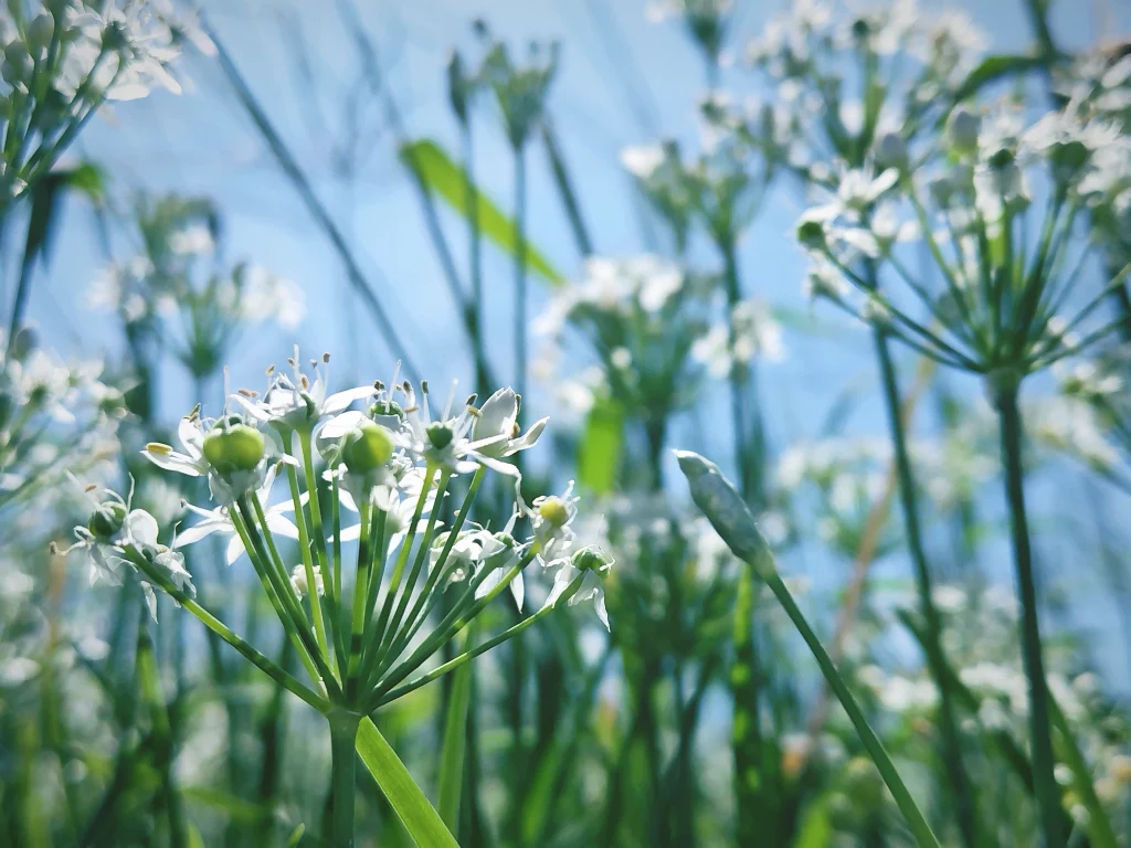 10月FVphoto