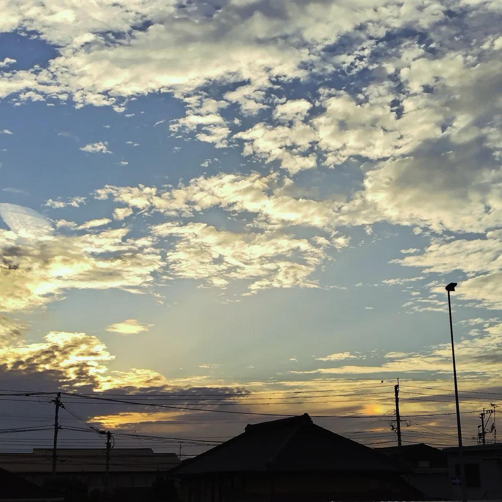 10月FVphoto