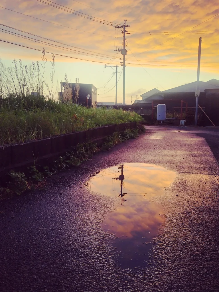 5月FVphoto