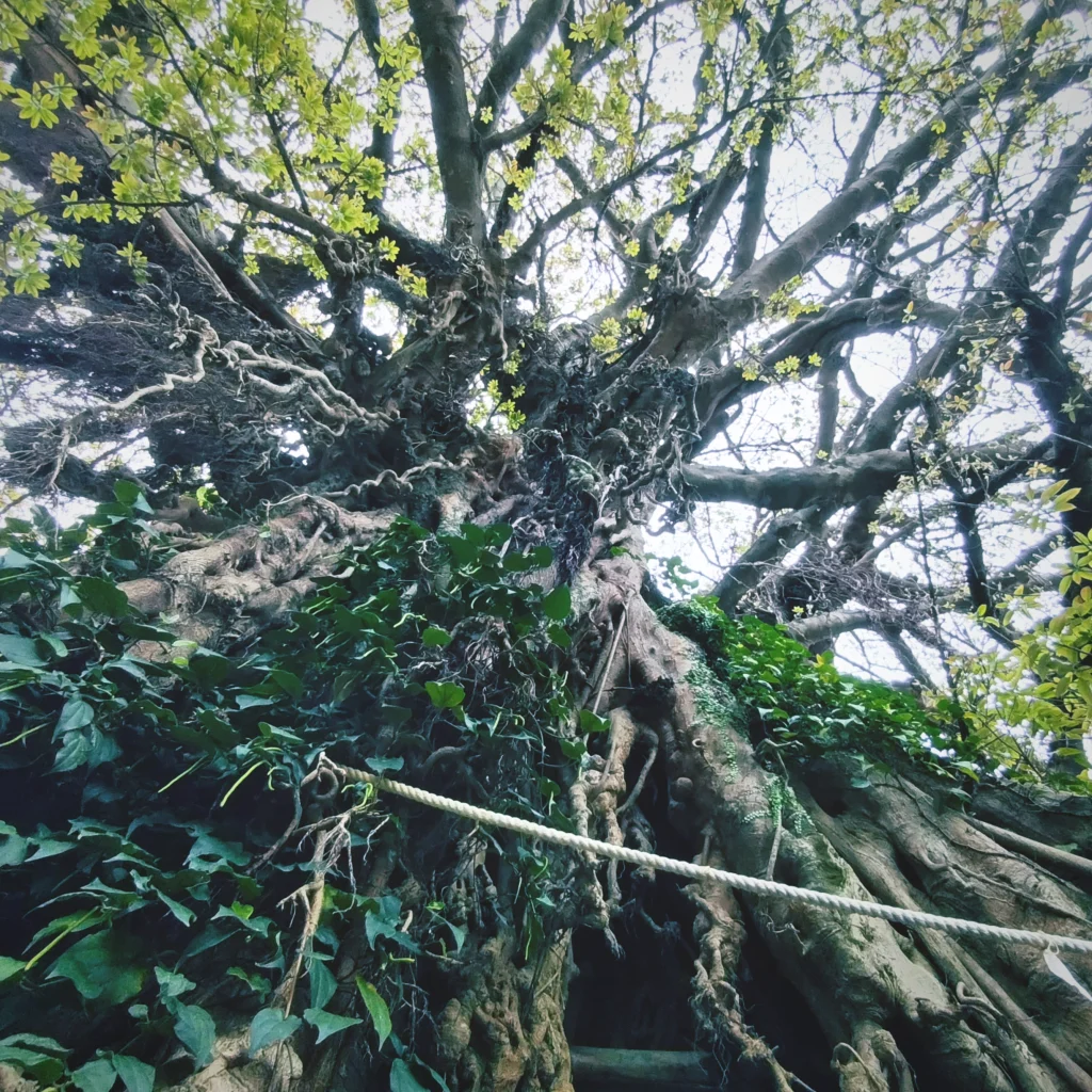 5月FVphoto
