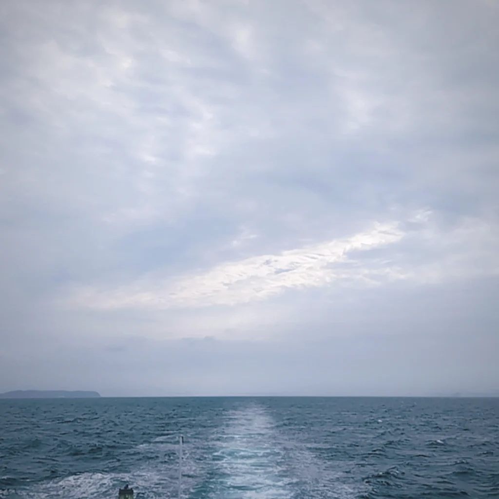 6月FVphoto