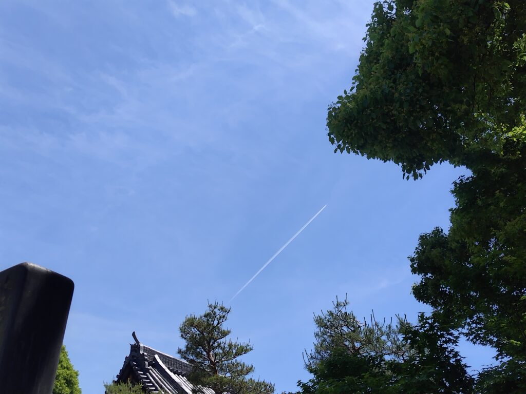 6月FVphoto