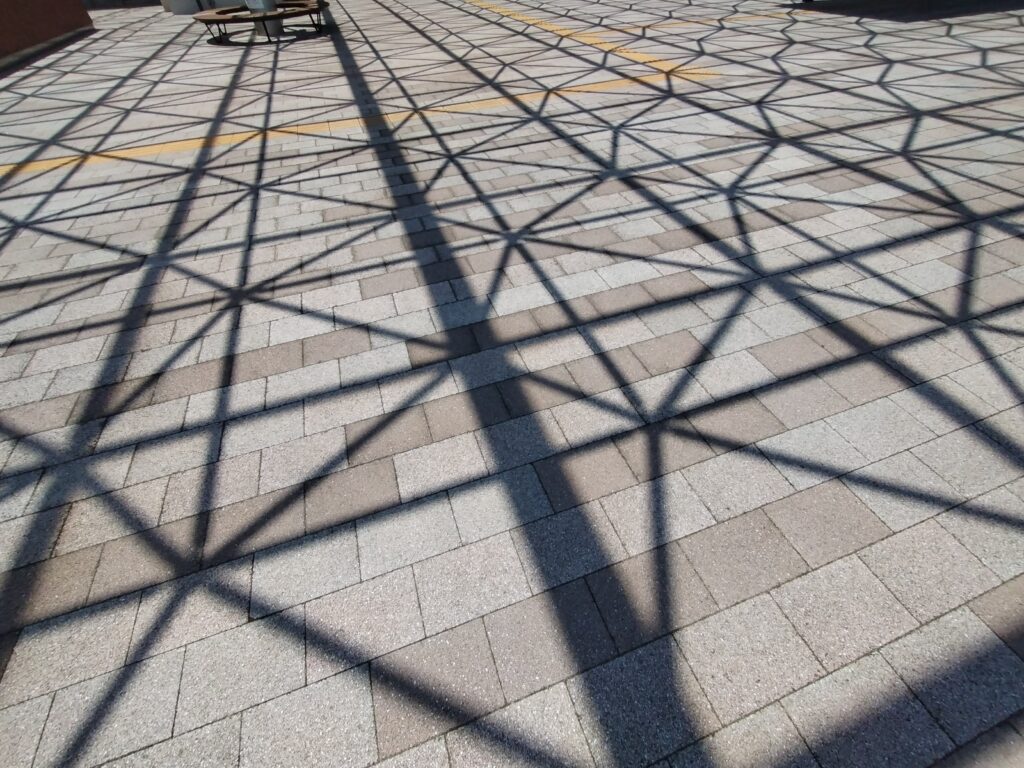 6月FVphoto