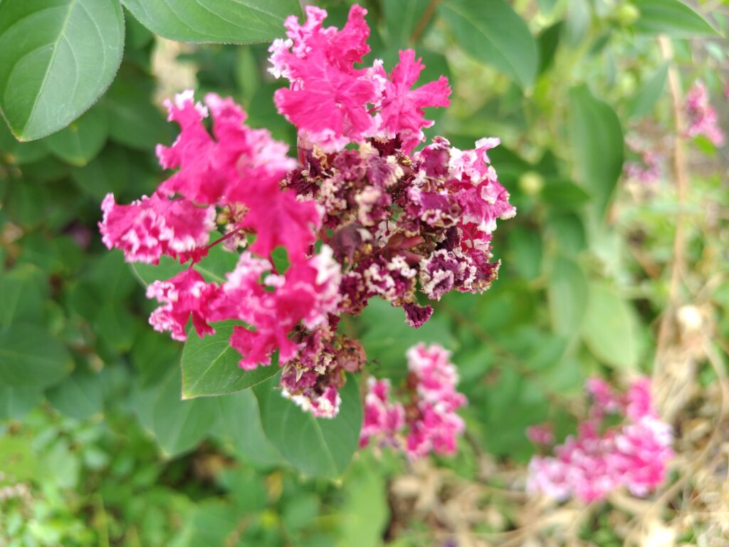 9月FVphoto