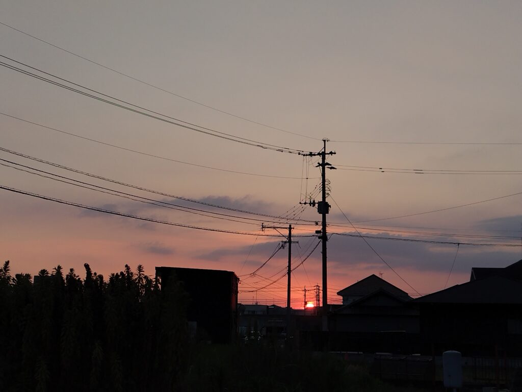 9月FVphoto