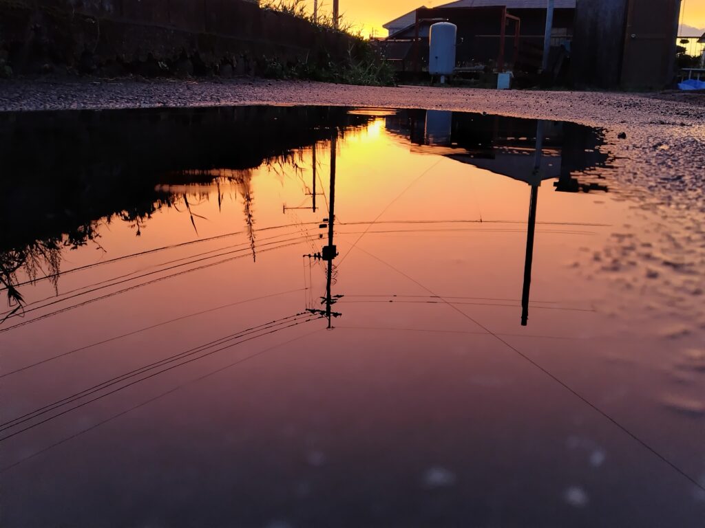 10月FVphoto