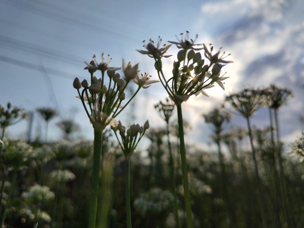 10月FVphoto