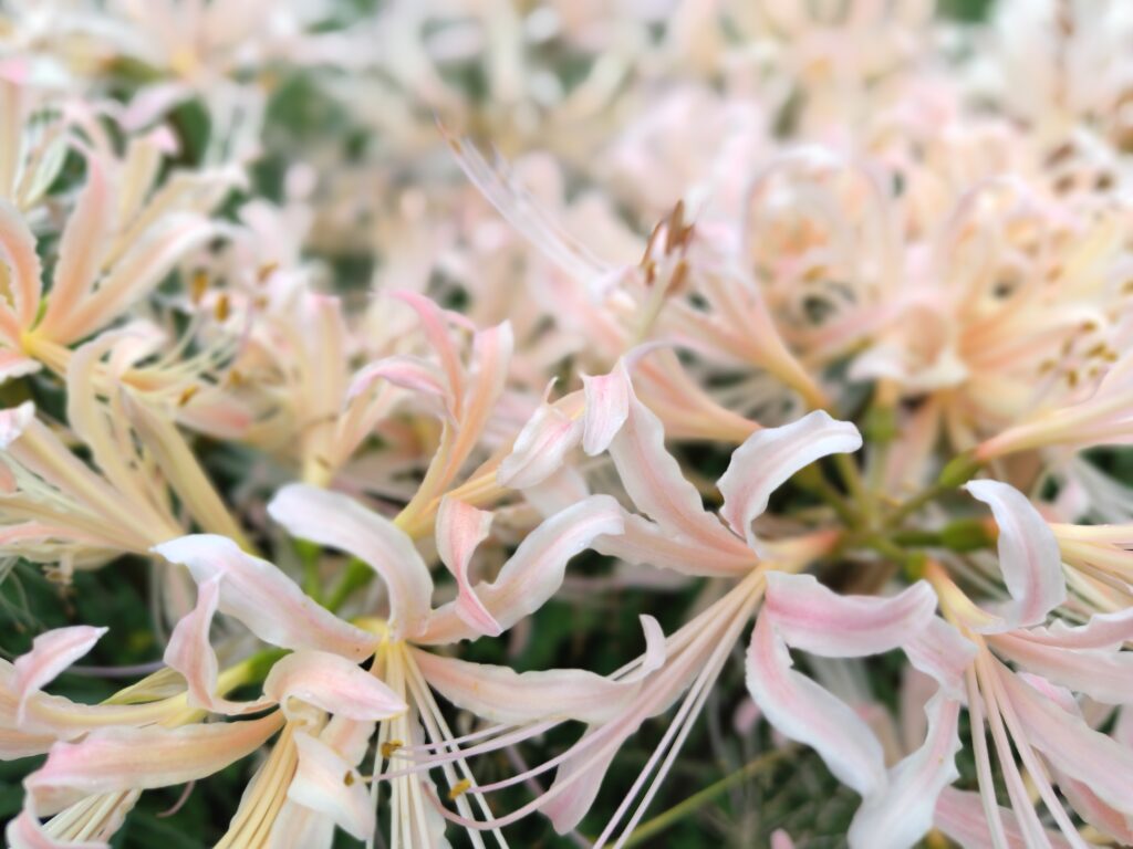 10月FVphoto