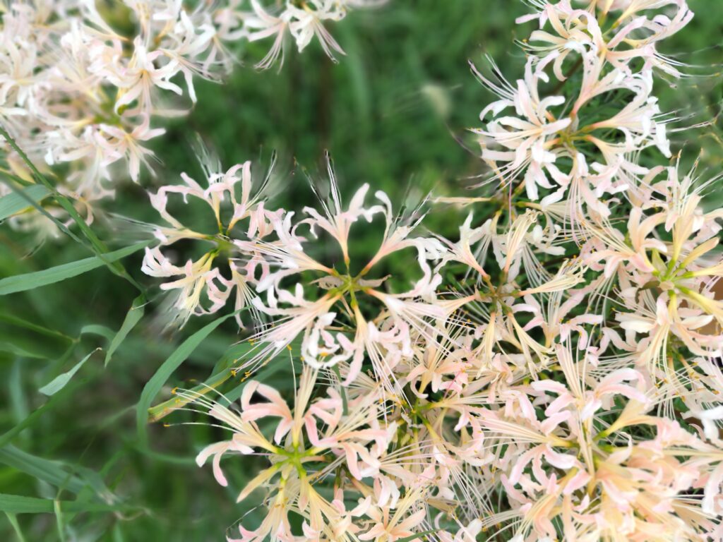 10月FVphoto